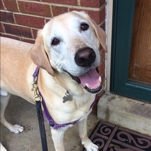 Meet your Posher, Ben